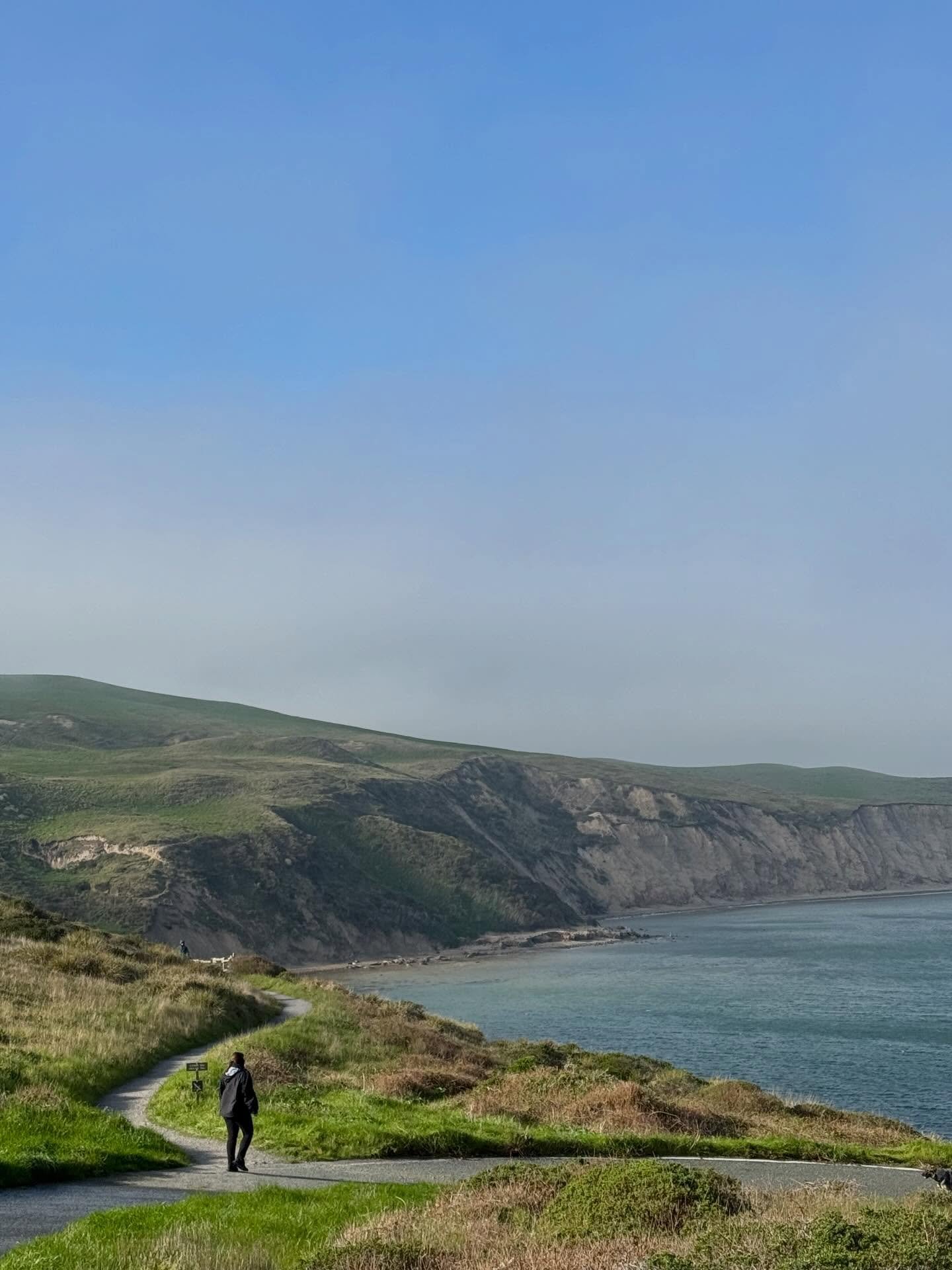 Point Reyes feat. tiny me! When in doubt, go out into nature 🦭#nature #gratitude @pointreyesnps @pointreyes_prnsa