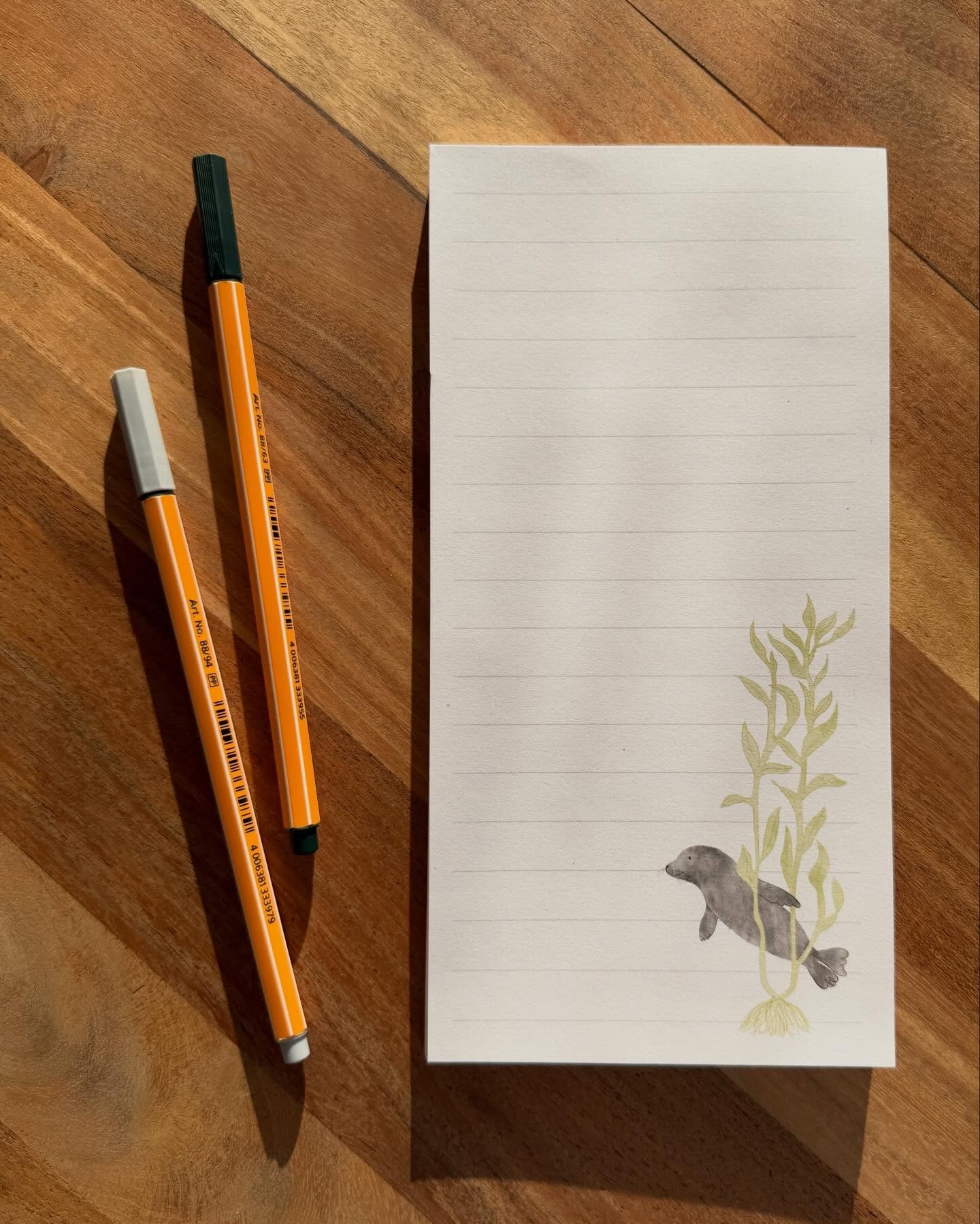 A different seal Sunday - new notepads are here! Swipe to see all my different seal suite stationery 🦭#harborseal #kelp #marinebiology