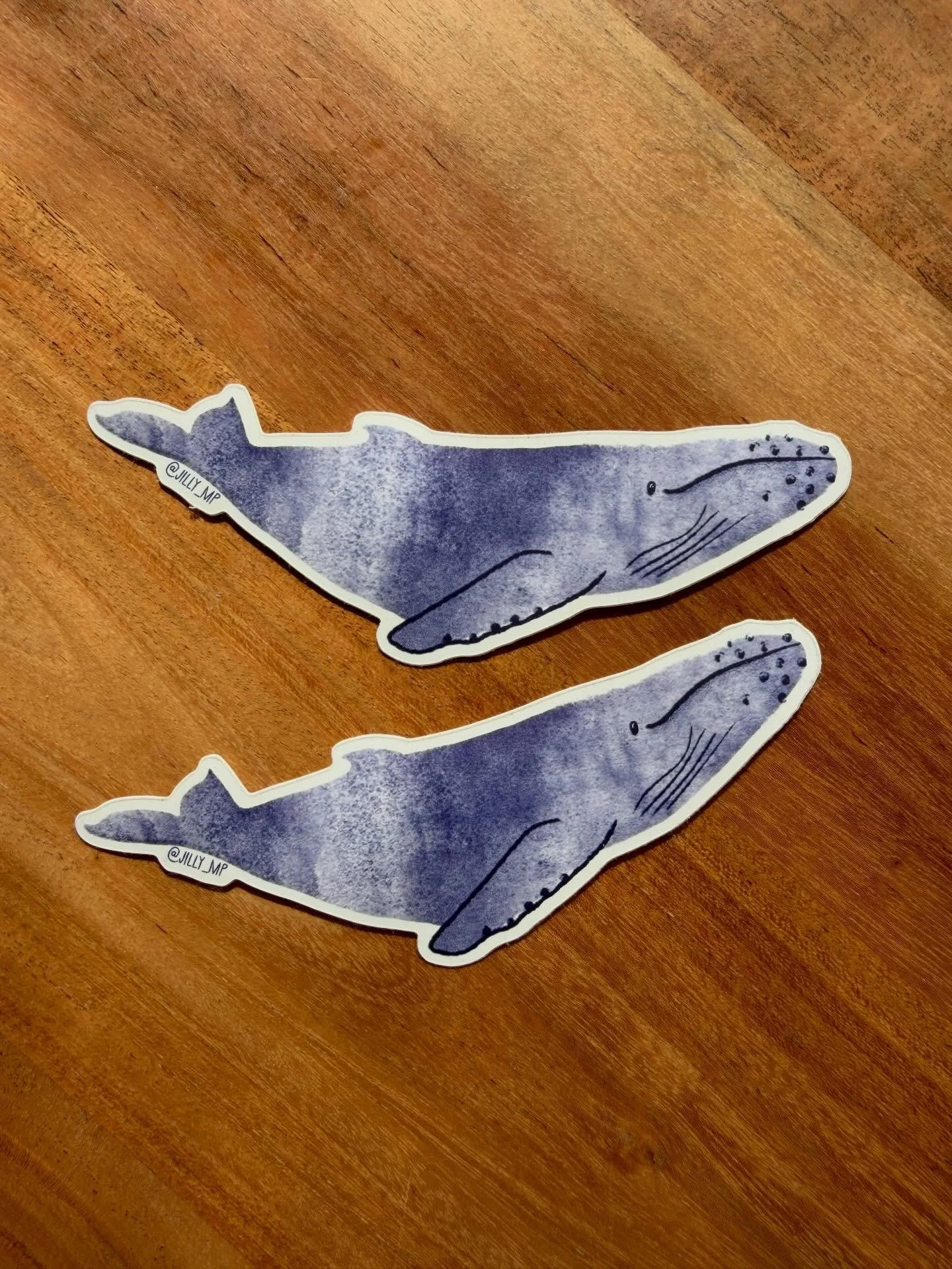 Whalefest is this weekend! 🐳 I&rsquo;ll have a limited run of Humpback Whale stickers to giveaway. Being part of an event like this that is educational, inspires action and connects people to marine life is why I started this journey 💫 stop by and 