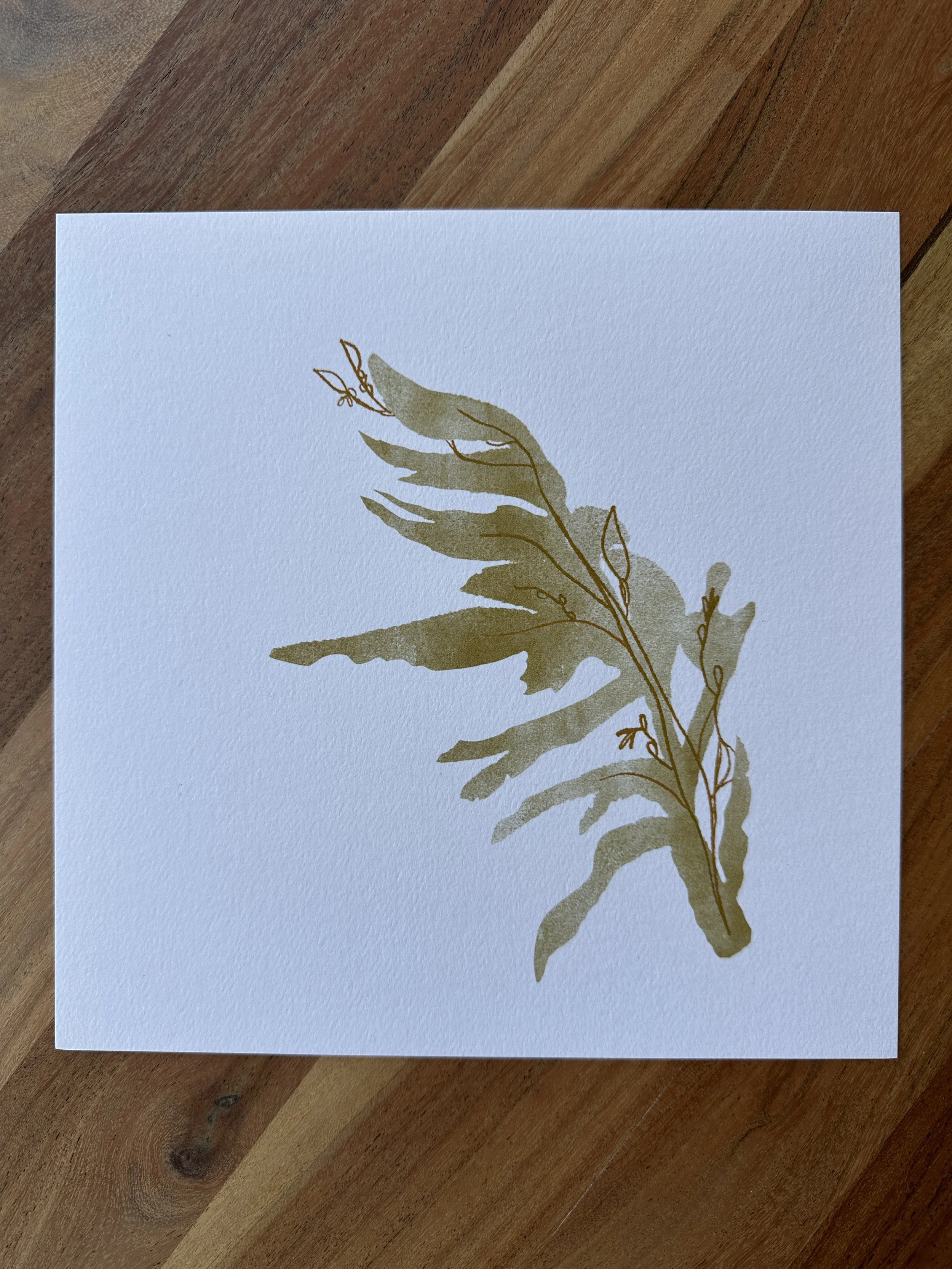Kelp