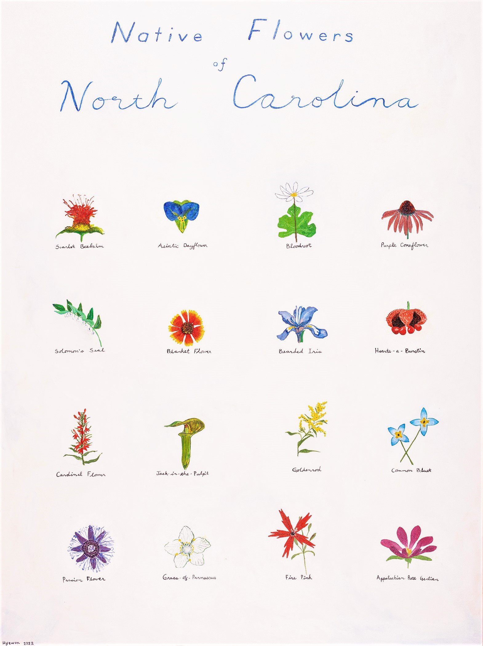 Native Flowers of North Carolina