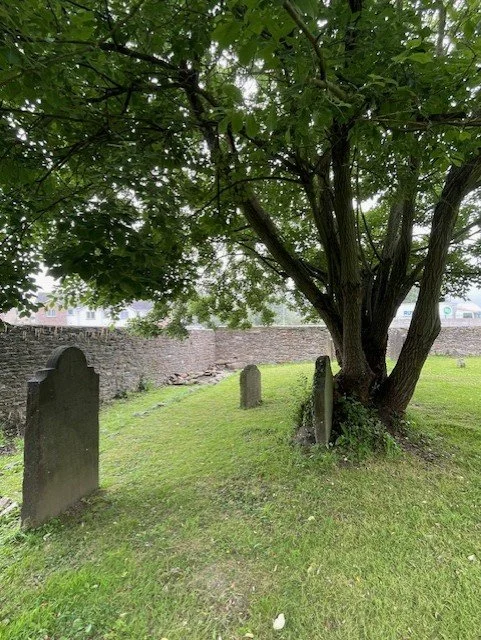 Kilbarrytree.jpg