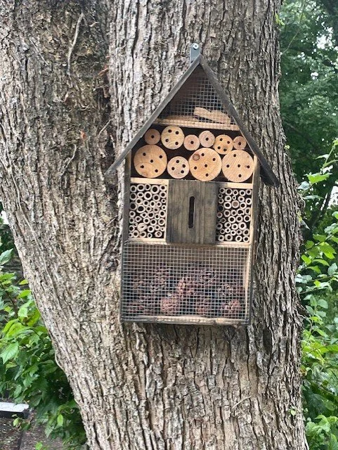 BugHotel.jpg