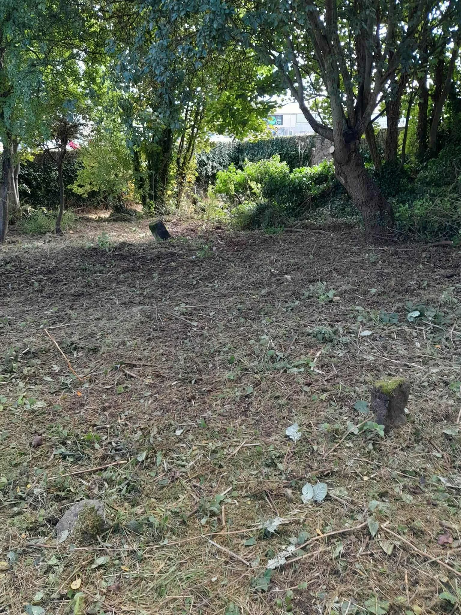 Graveyard-earlydays1.jpeg