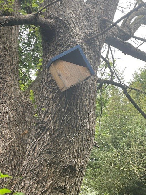 Wildlifebox.jpg