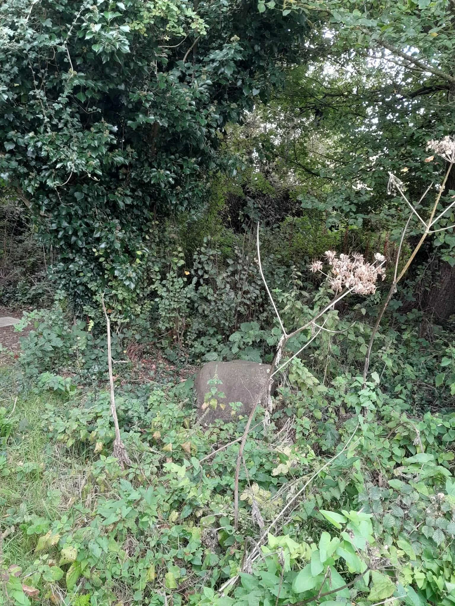 Graveyard-old-2.jpeg
