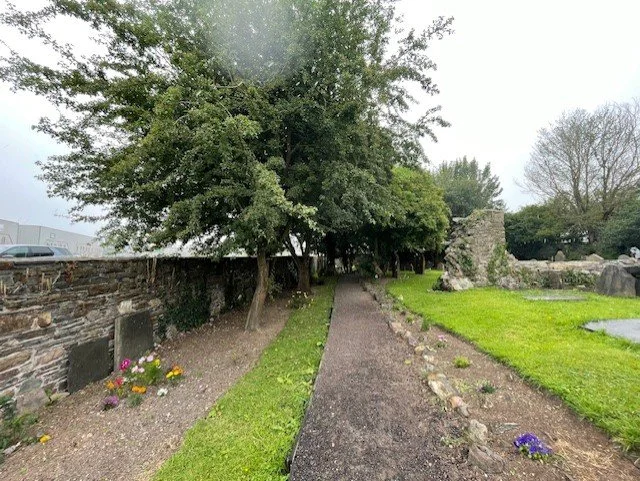 Kilbarryplantings.jpg
