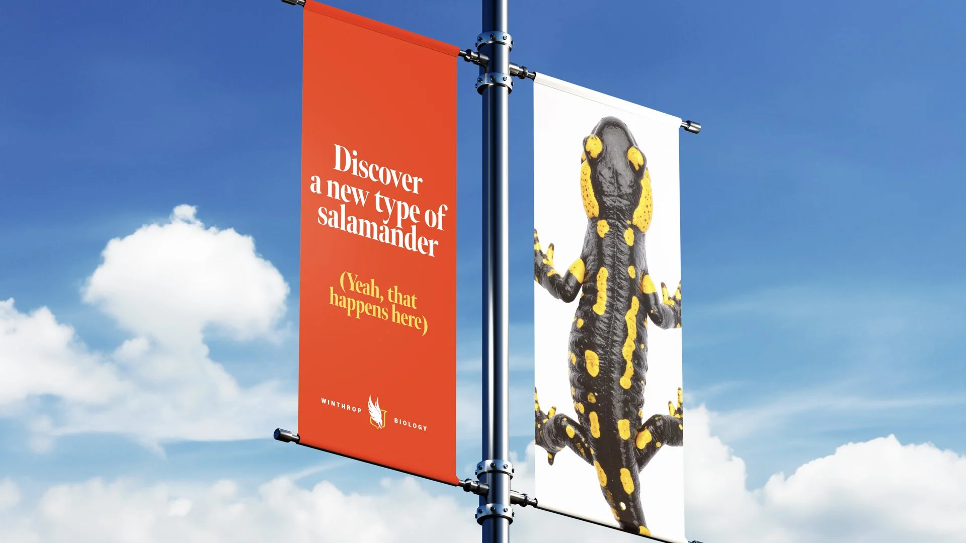 160over90 Winthrop University Brand Concept_Final.032.jpeg