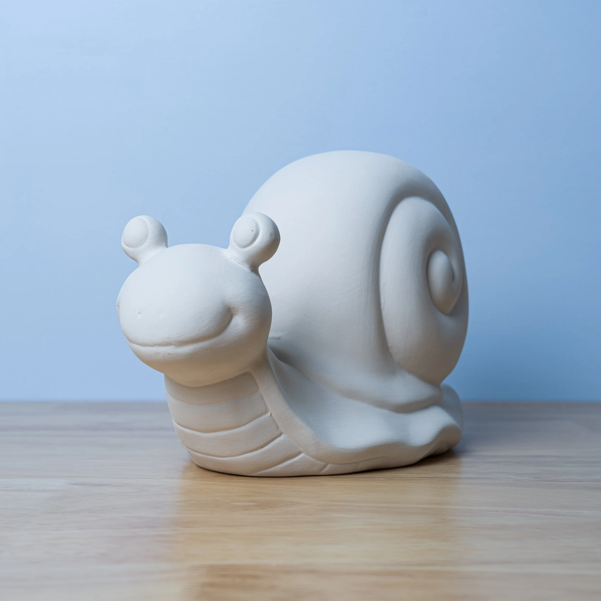 Garden snail front.jpg