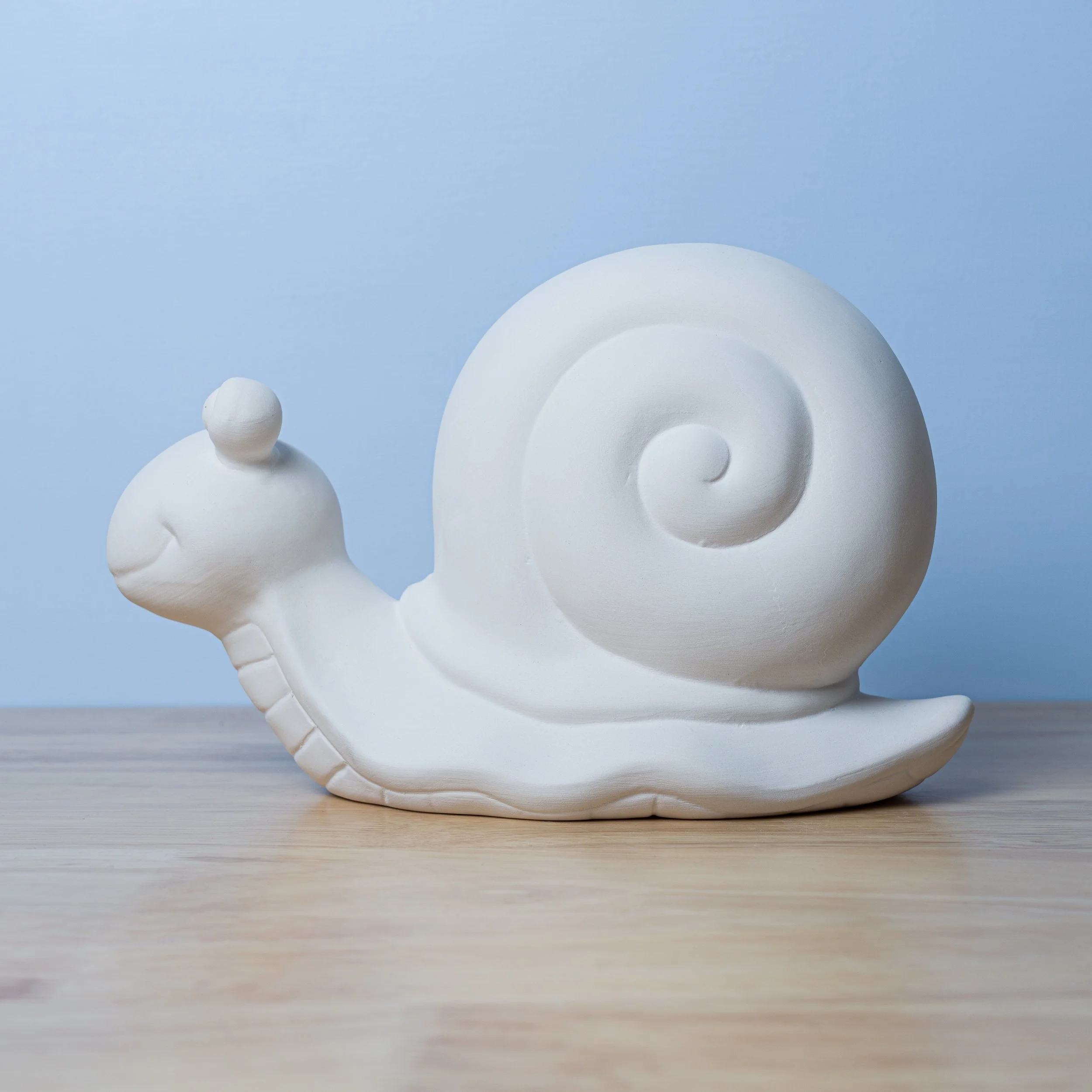 Garden Snail.jpg