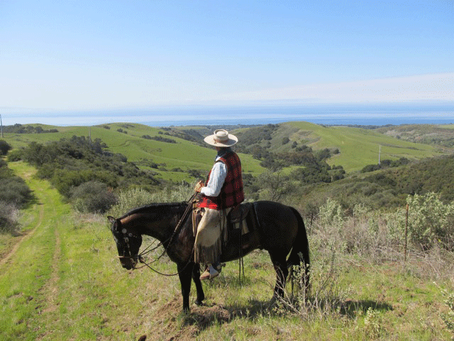 ranch_day_tweddl_dee_and_tweedl_dumb_016.gif