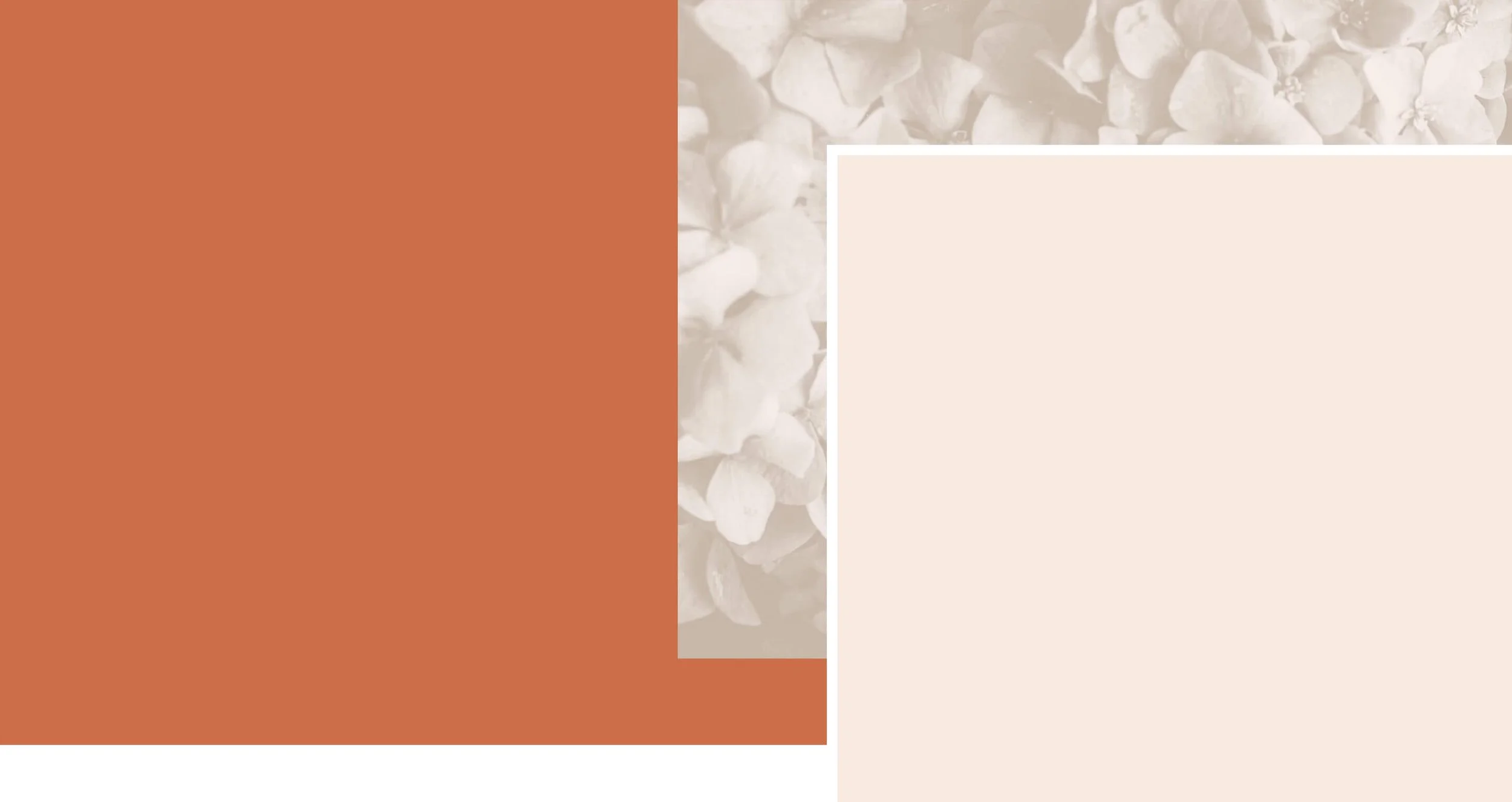 1_Services_Intro Banner.jpg