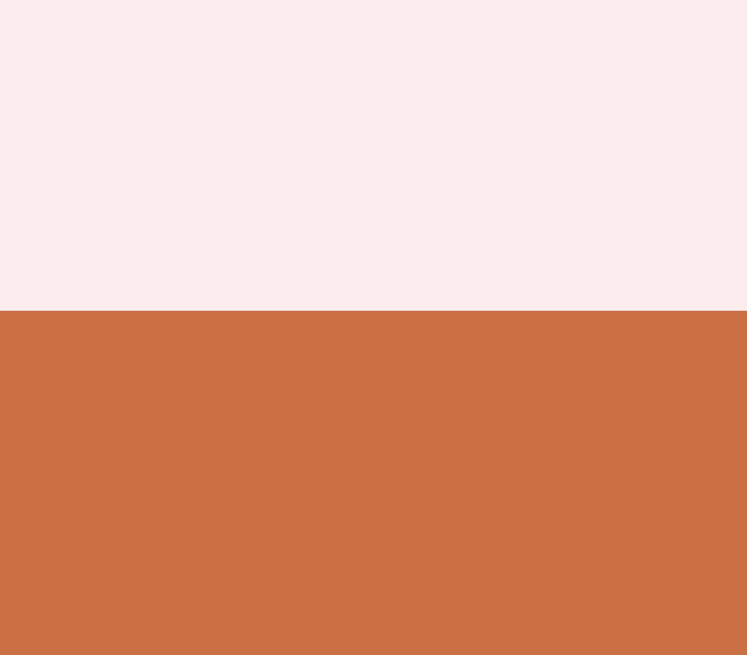 21_Product_Packages Banner.jpg