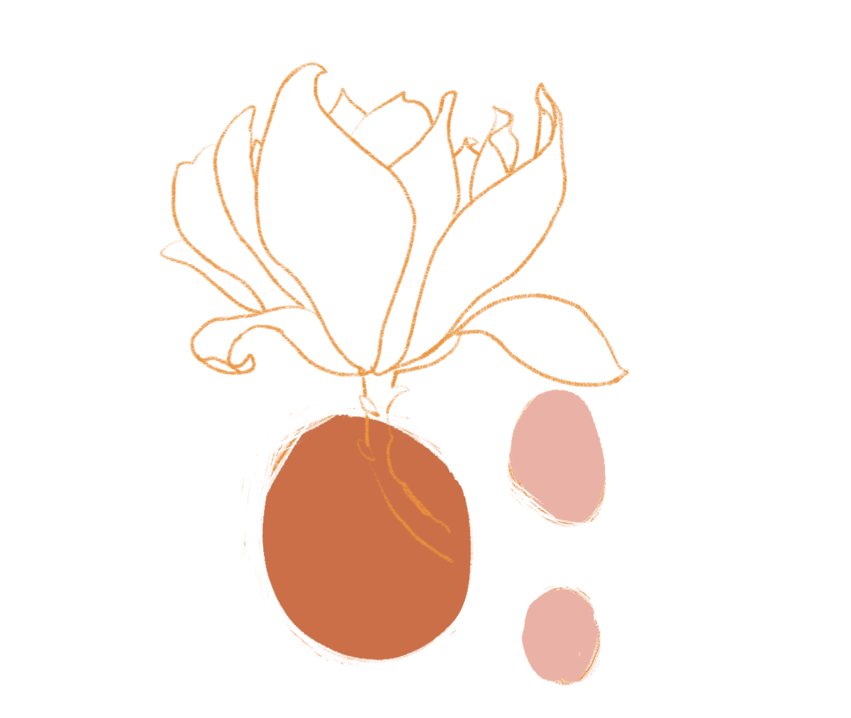 Experimentation