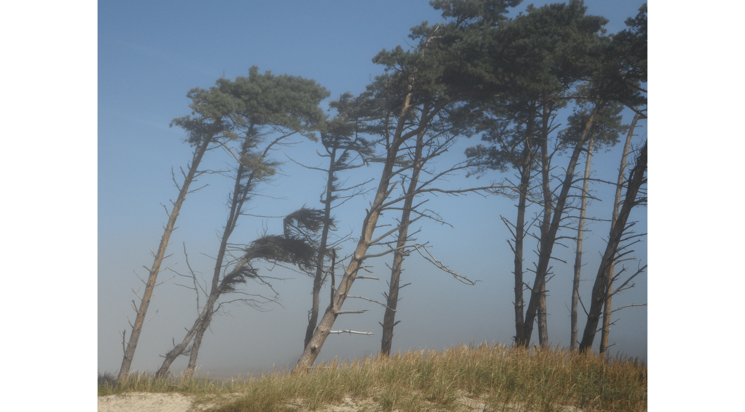 Prepare yourself to deal with obstacles (Do you get bothered by little insignificant things?)
