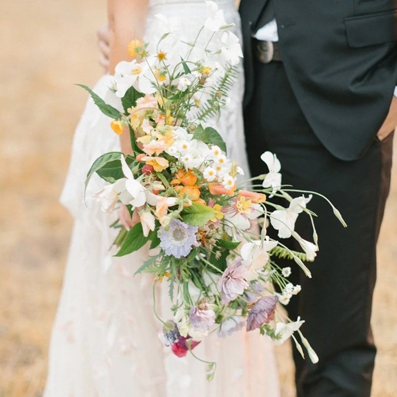 Wildflower at Holman Ranch
