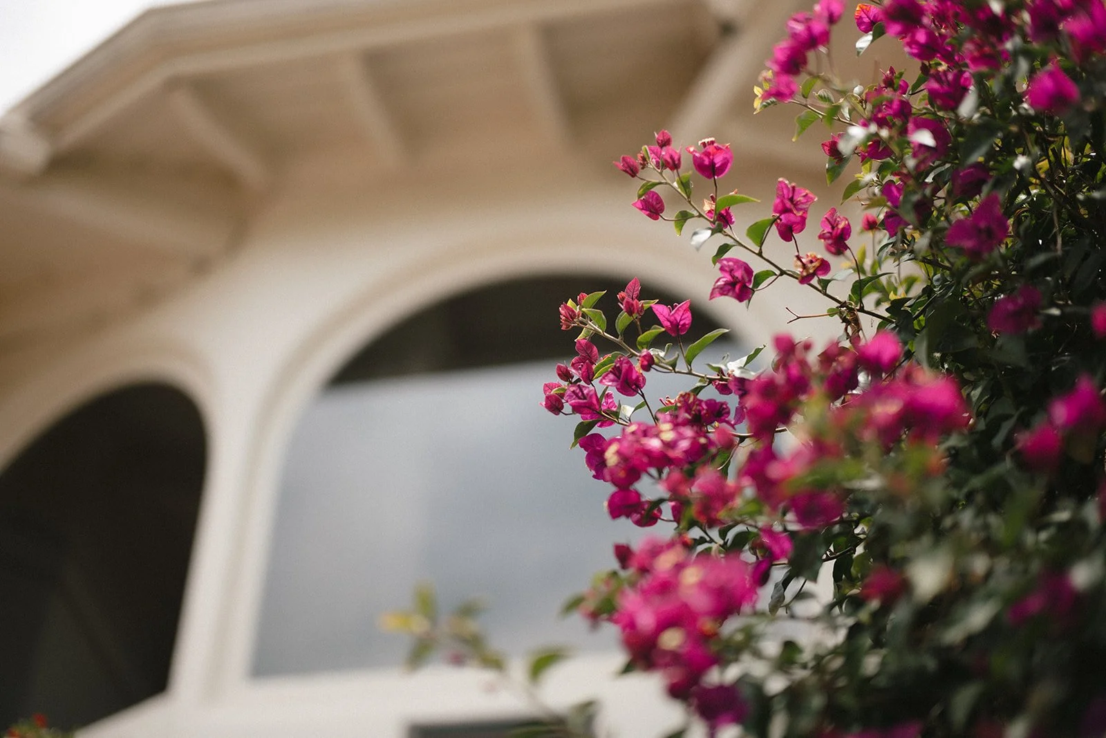 hotel window with bougainvillea in front