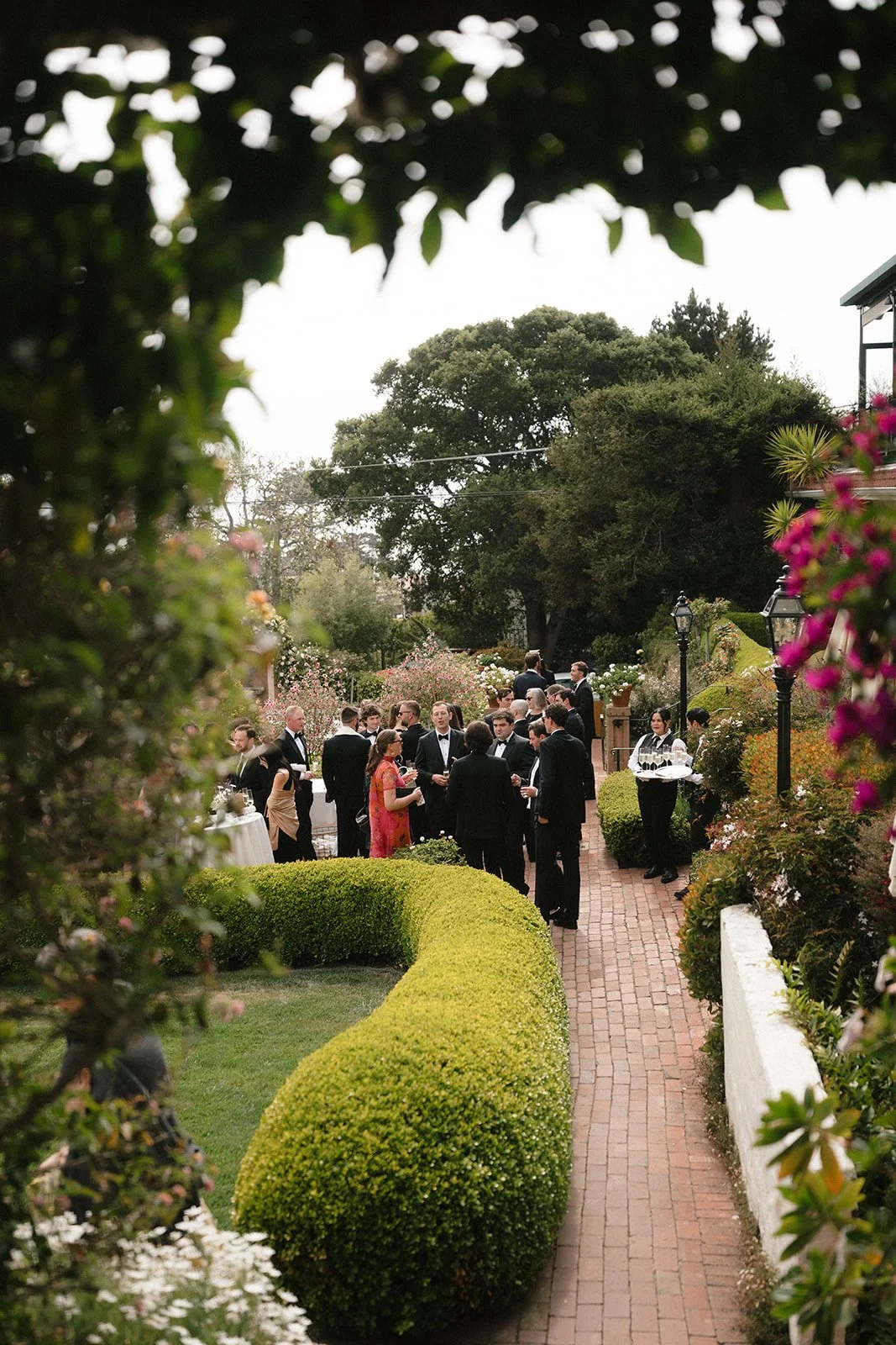 hotel pathway with bougainvillea