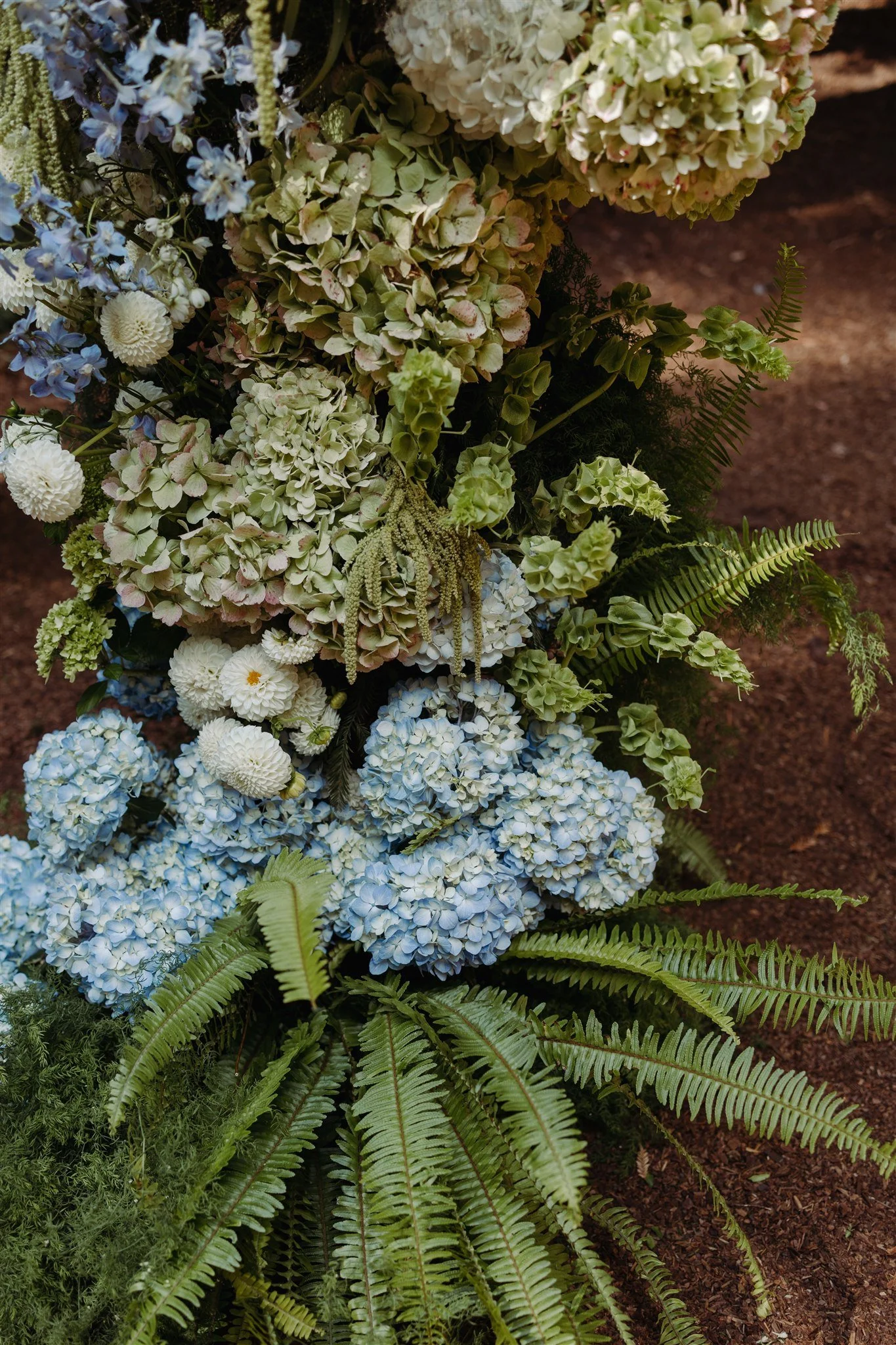 aisle with antique hydrangea and ferns