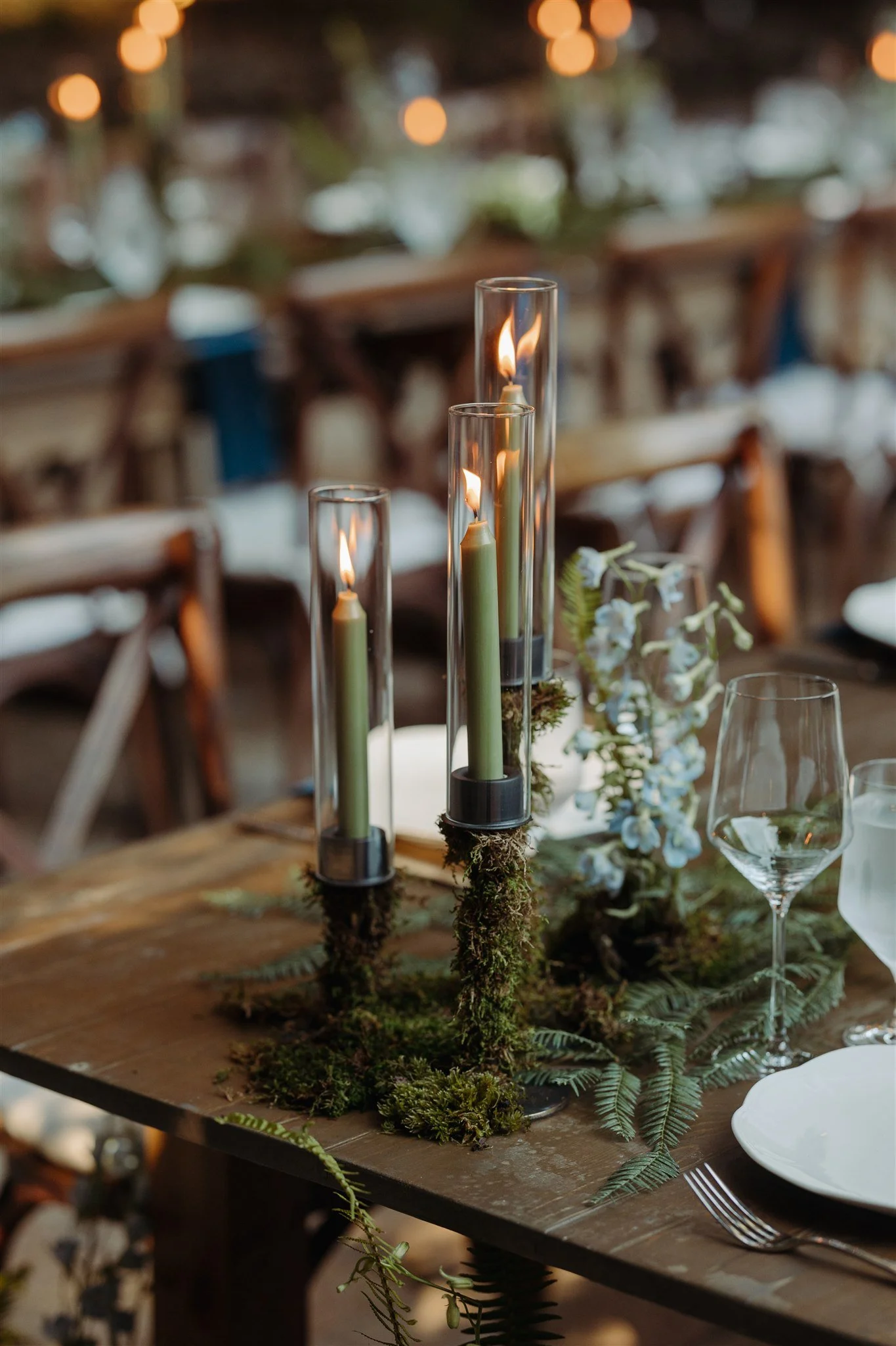 tall taper candles with glass sleeves