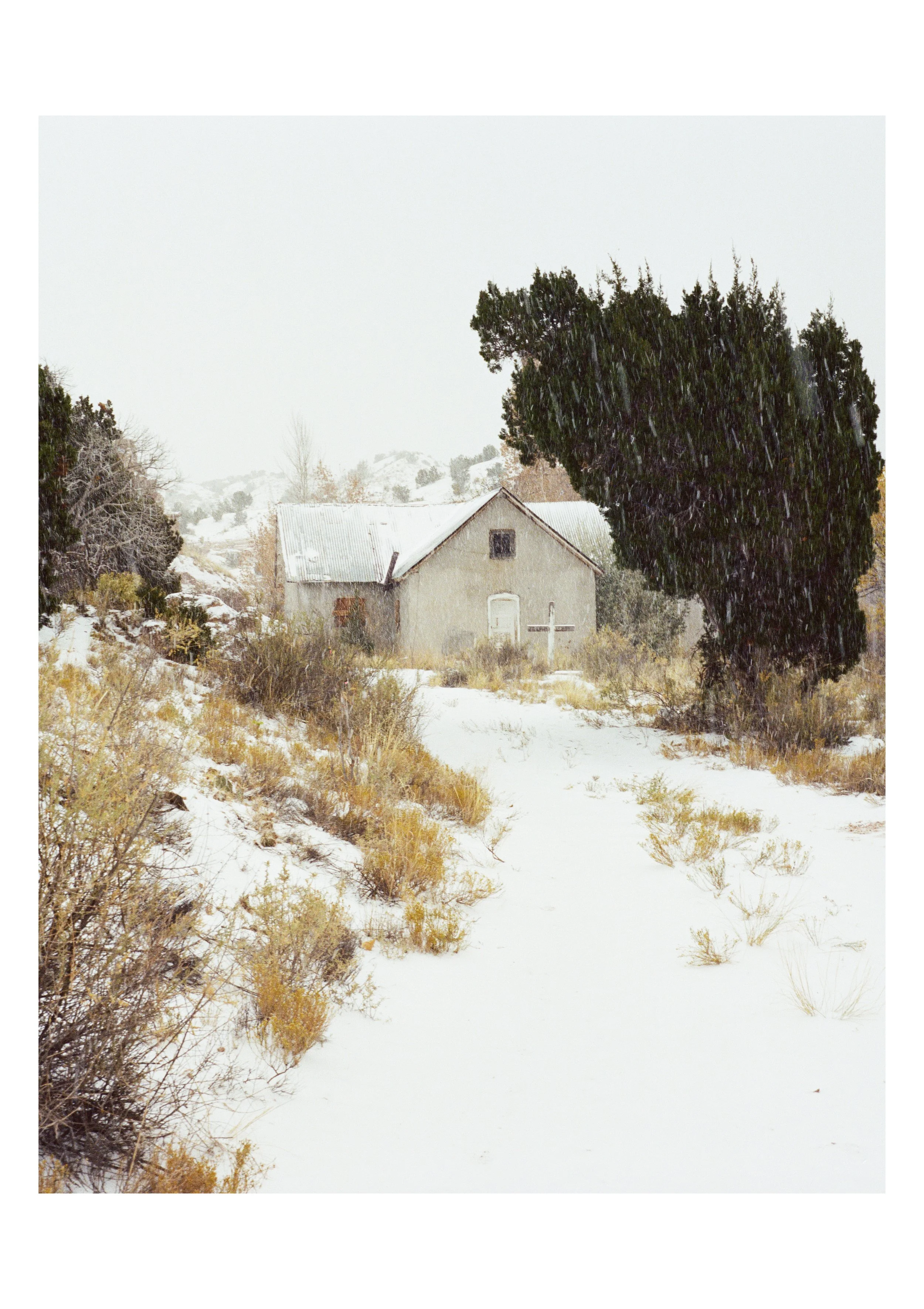 Michelle Bardino-Vela