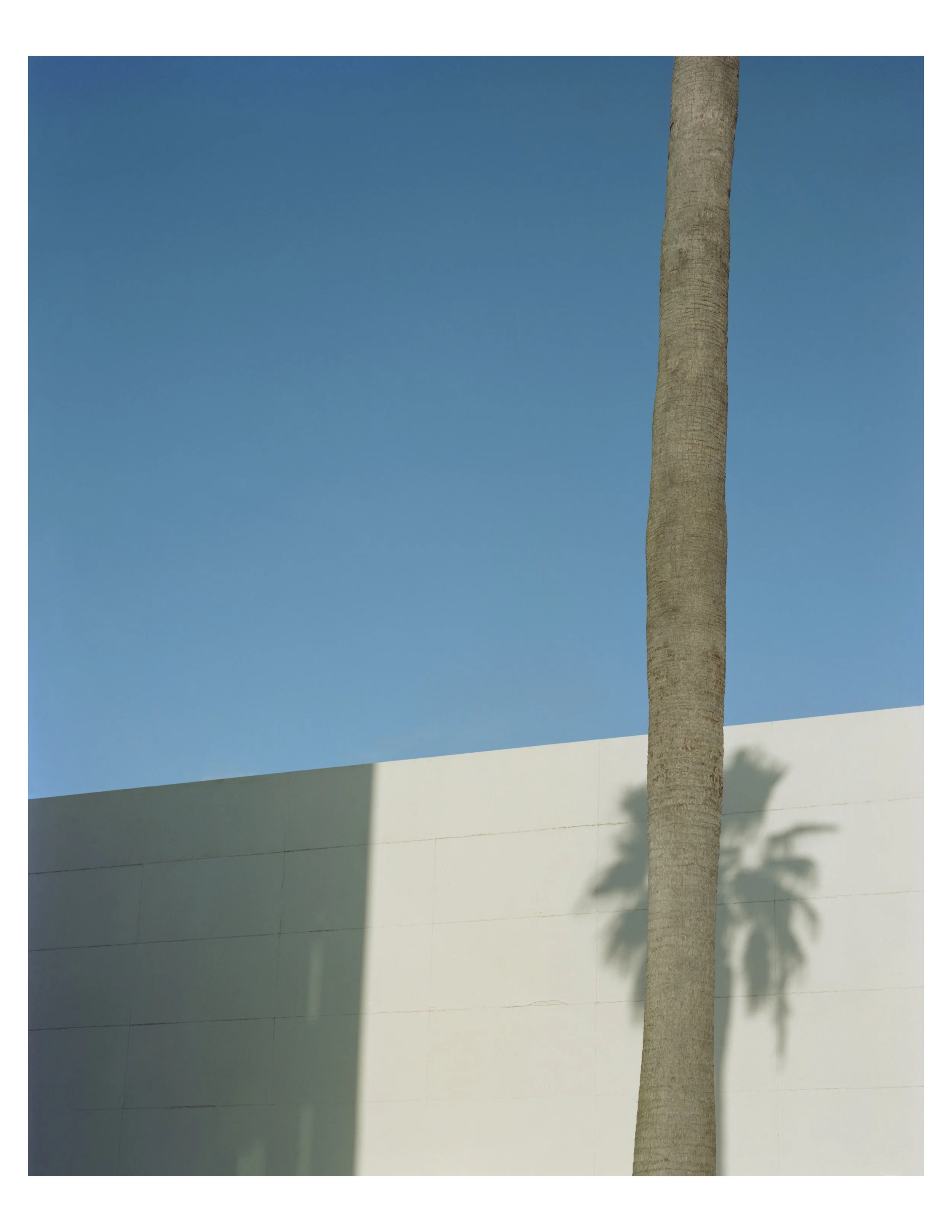 Ian Patrick O'Connor