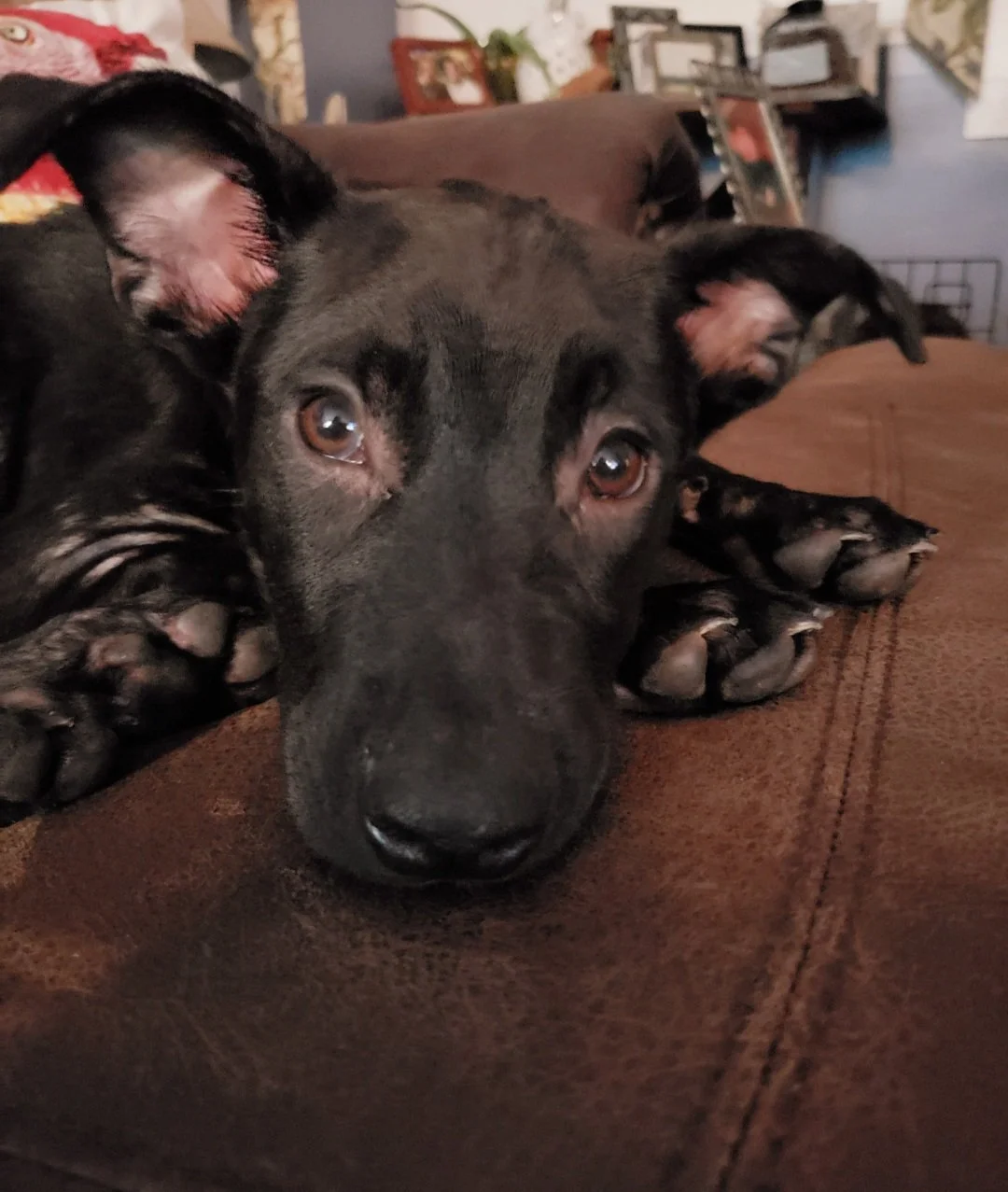20220608_075139.jpg