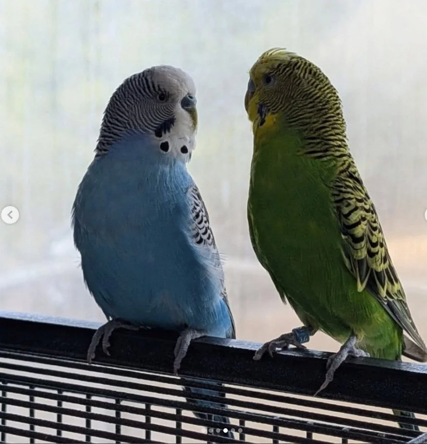 green.jpg