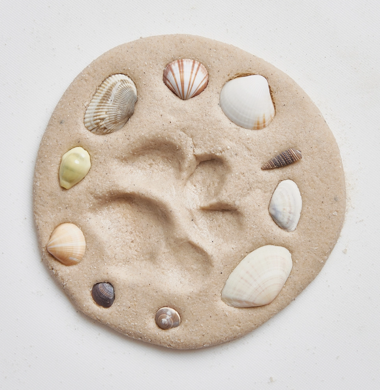 paw and shells.png