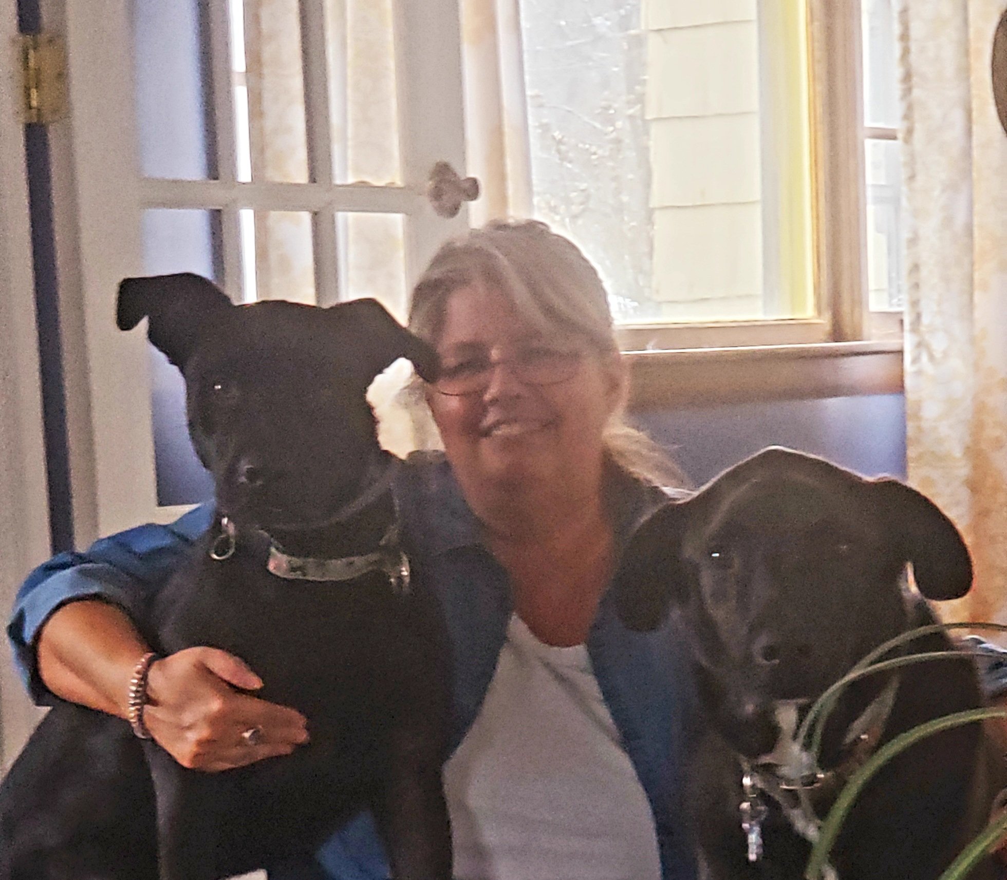 A woman sitting with two black dogs indoors next to a window.