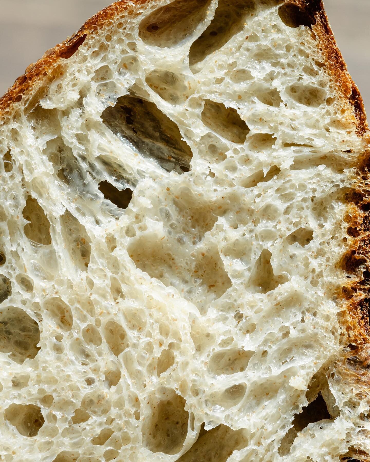 Jesus is the bread of life

Some macro shots of this week&rsquo;s sour-faux breads. These were 82% hydration and I think that&rsquo;s a little too much water. Making another batch and 78% this week. Need to work on my folding for the best crumb 🍞🍞