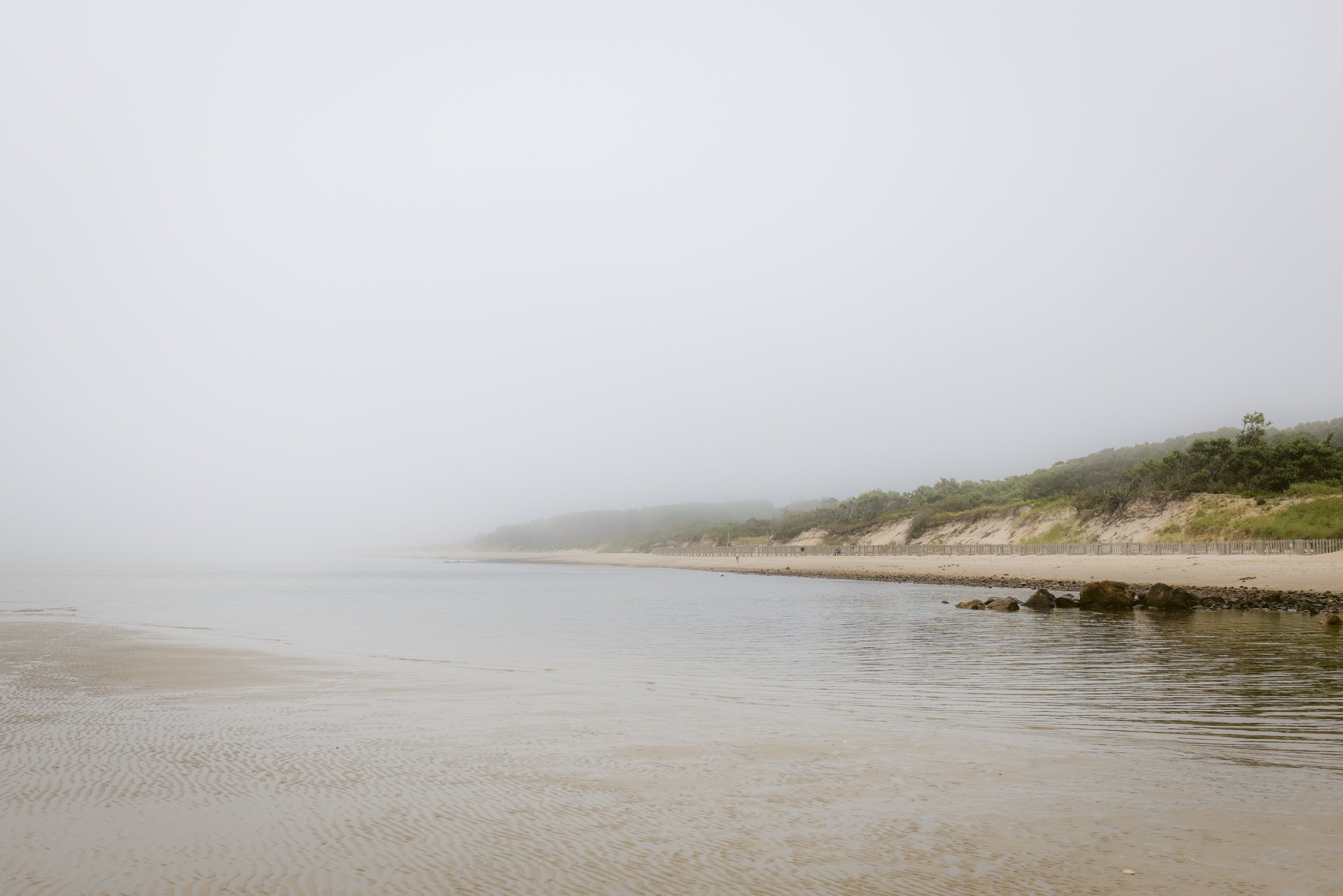 cape cod_2024-1029.jpg