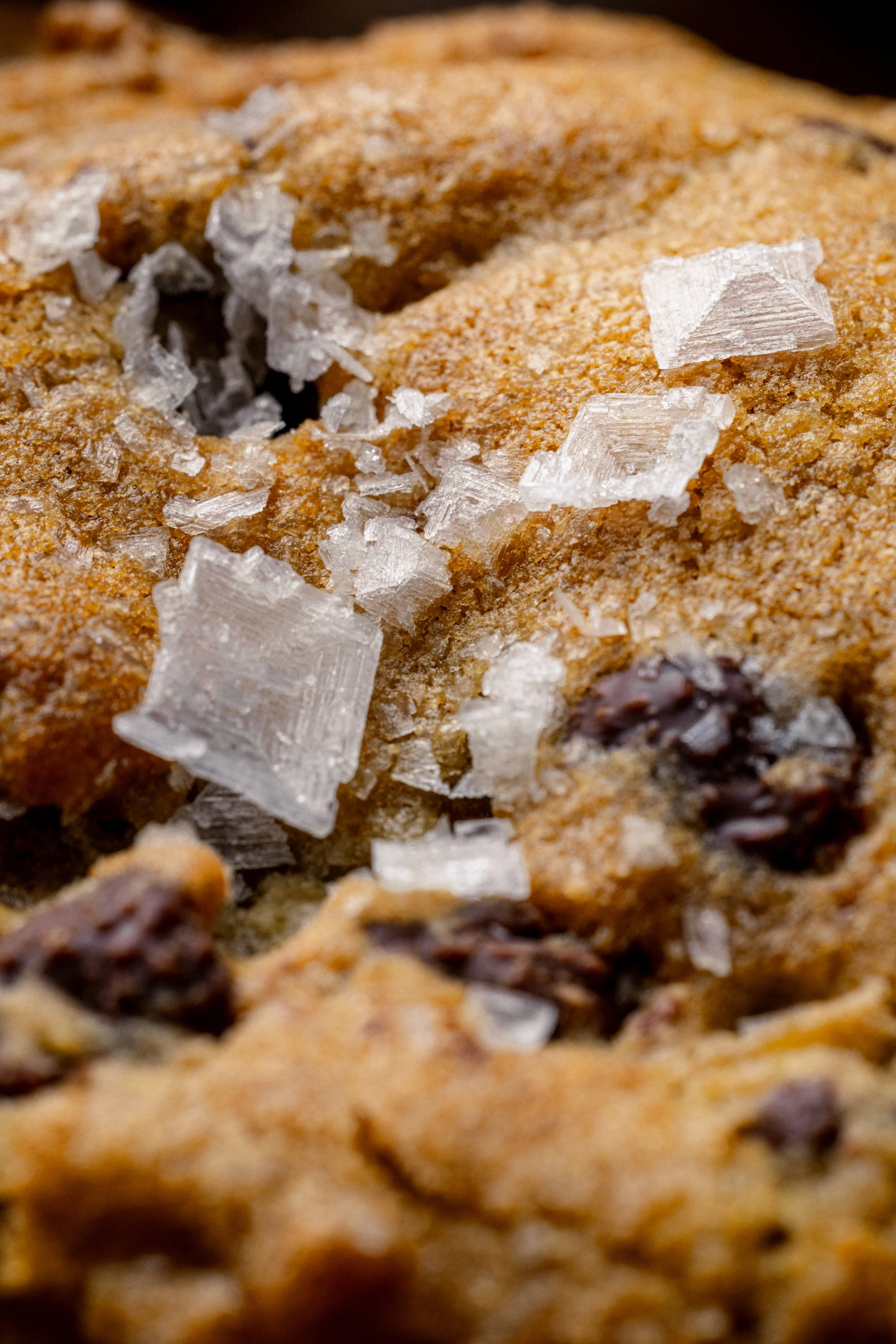 Harborview Cookies0579.jpg