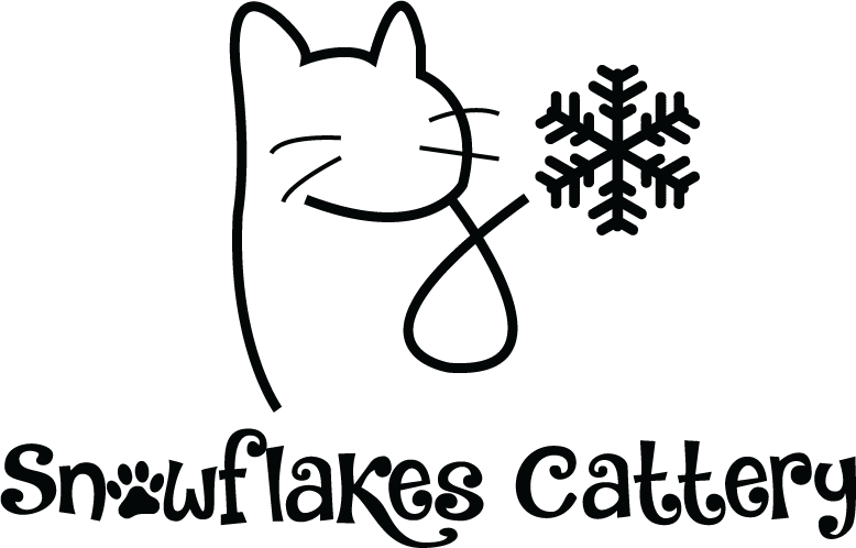 snowflakes cattery