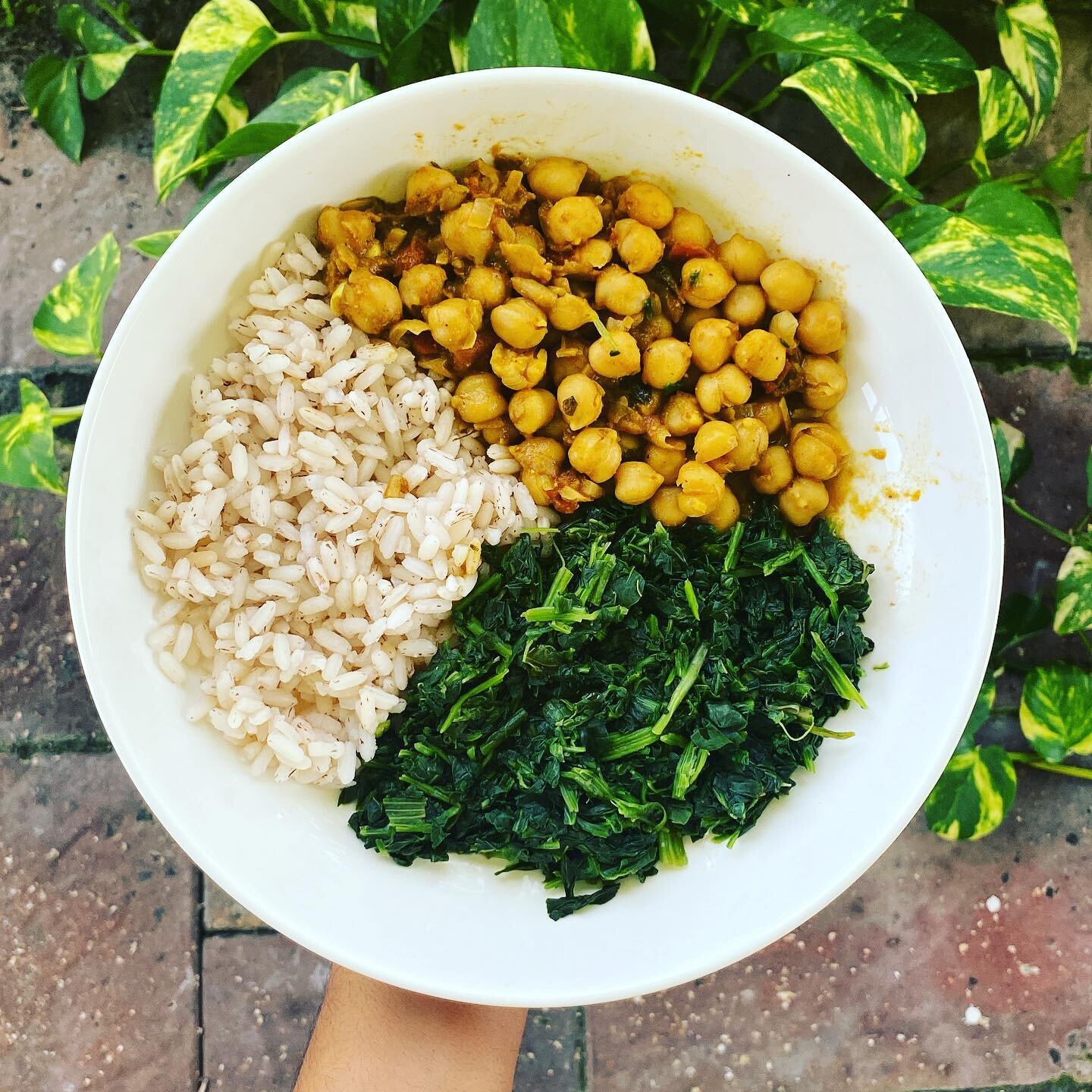 Another day, another legume 🫘 

I cooked the rice (Kerala matta rice) in my instant pot, so I have it for a few days. 

Spinach was bought frozen, saut&eacute;ed with water for a few minutes.

The delicious chickpea curry was made for me by my wonde