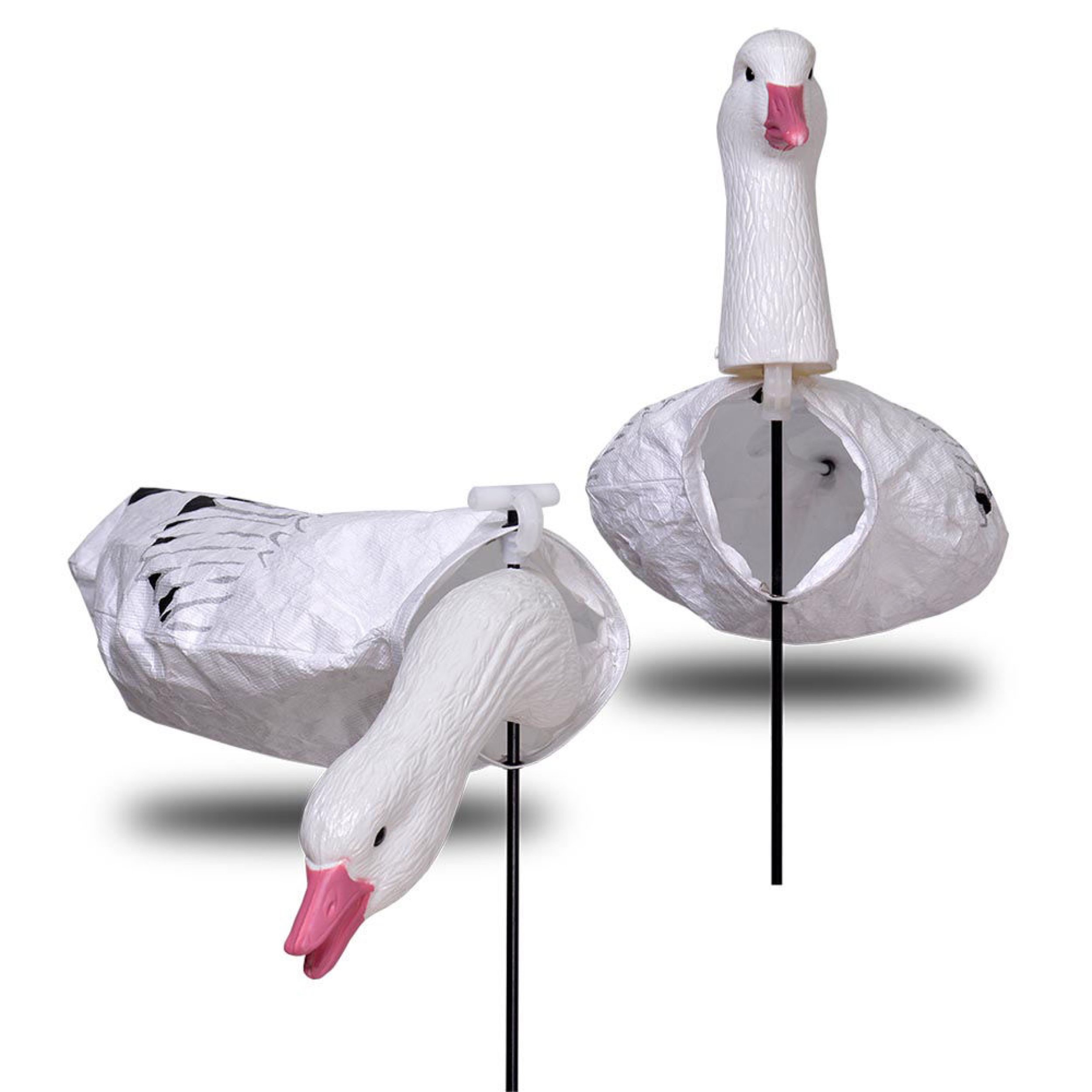 Feeder2.jpeg
