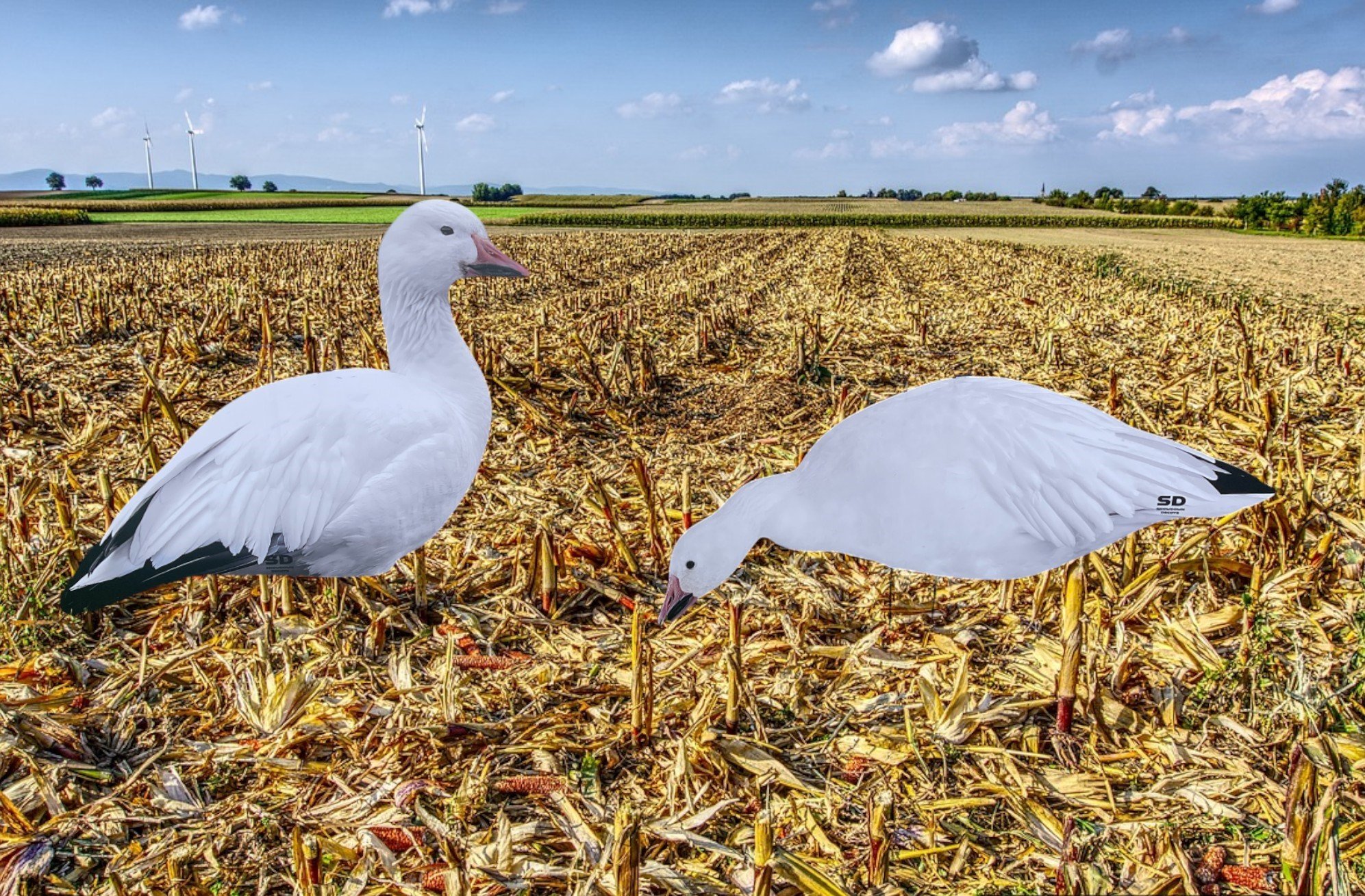 Store 1 — SNOWDOWN DECOYS