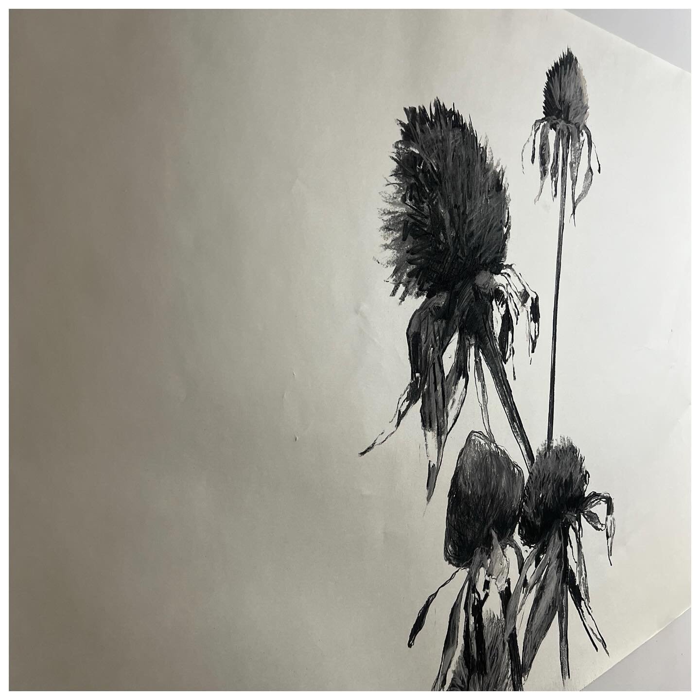 Nouveau grand dessin en cours !
#peinture #dessin #valromey #artcontemporain #landscapes #oilpainting #flowers #flowers  #bugey #lyon #geneve #champagneenvalromey