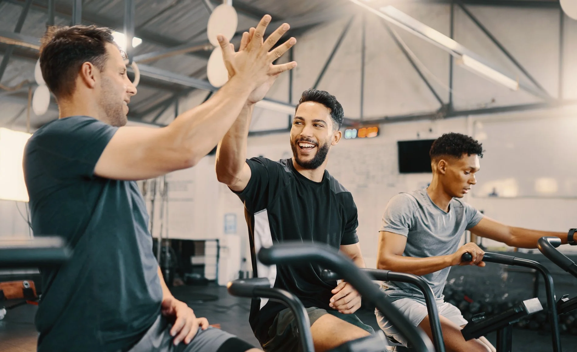 Exercise or Training