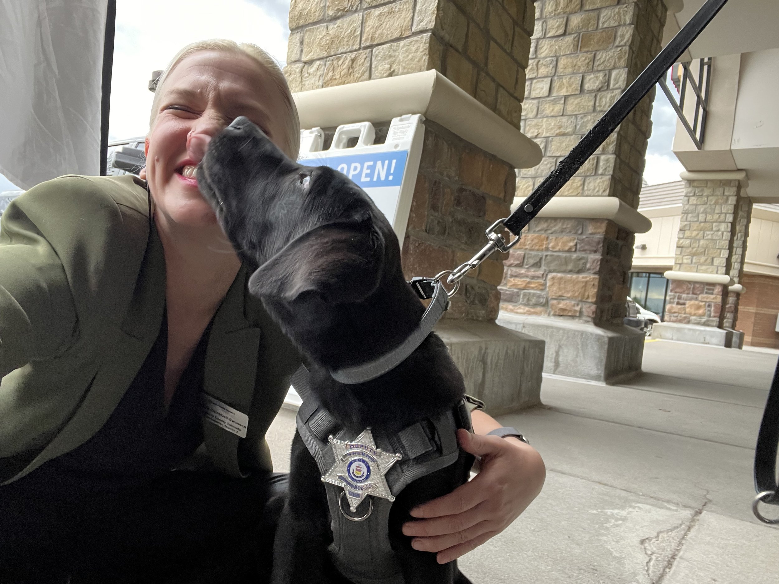 Who doesn't love our school resource puppies?