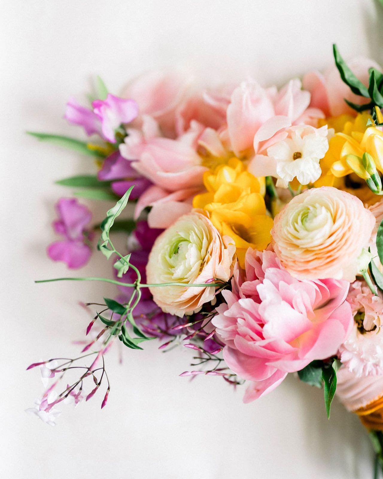 If only you could smell the jasmine, sweet peas and peonies in this bouquet 🤍

Planning: @brittanieraquelevents
Photo: @_georgecreatives
Florals: @sunburstflorals

&bull;
&bull;
&bull;
#wilmingtonflorist #wilmingtonweddings #eventflorist #bridalbouq