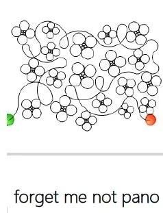 Forget Me Not Pano.JPG