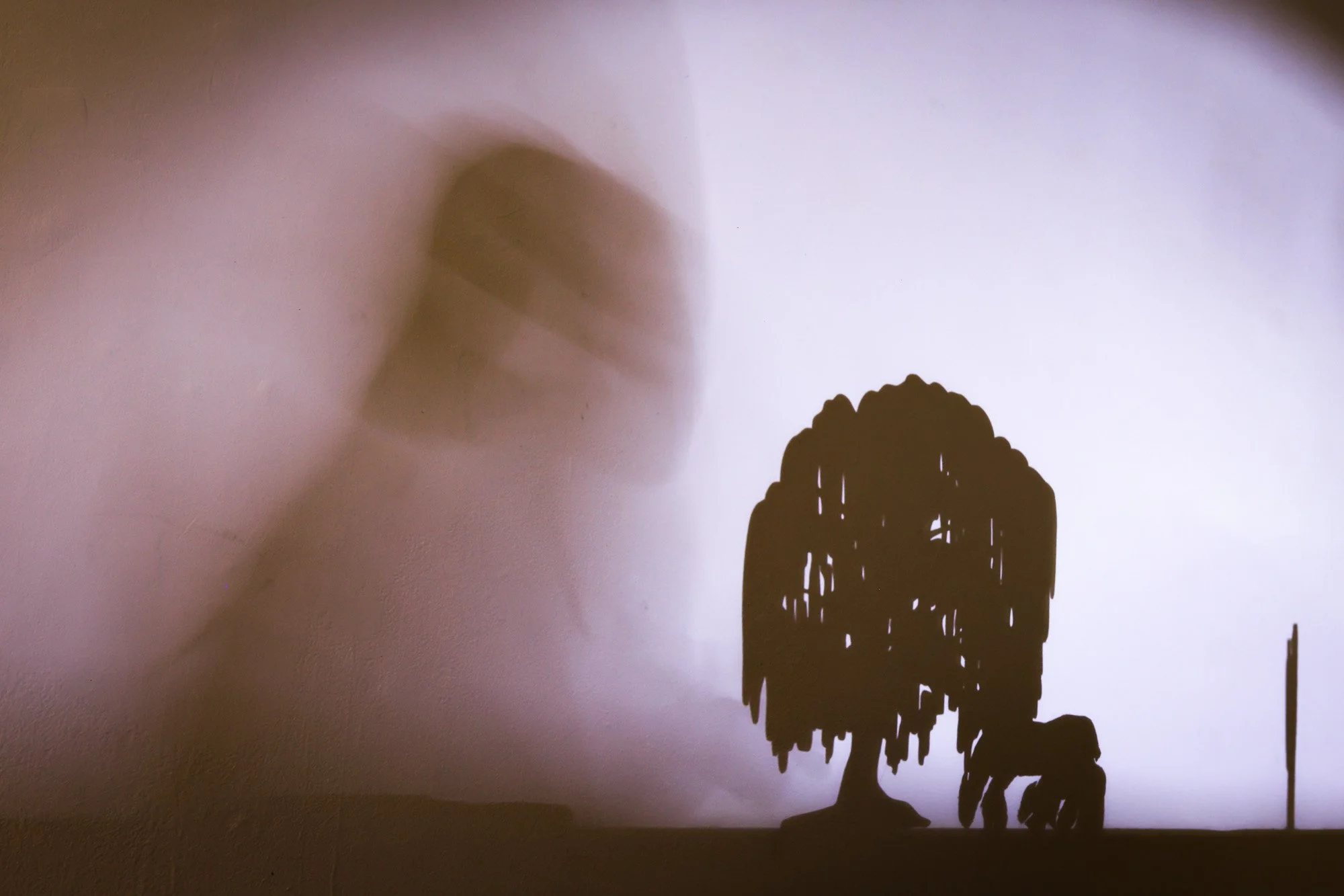 PlayingWithShadows_July26-27.jpg