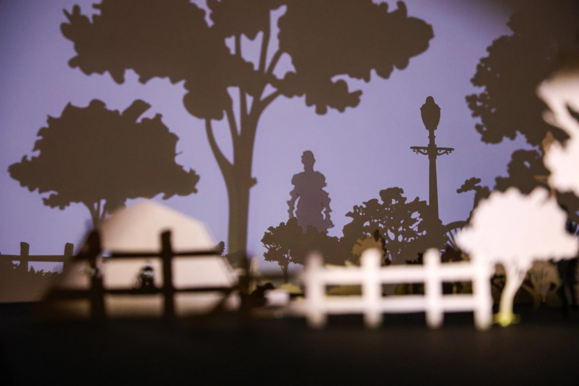 Playing with Shadows