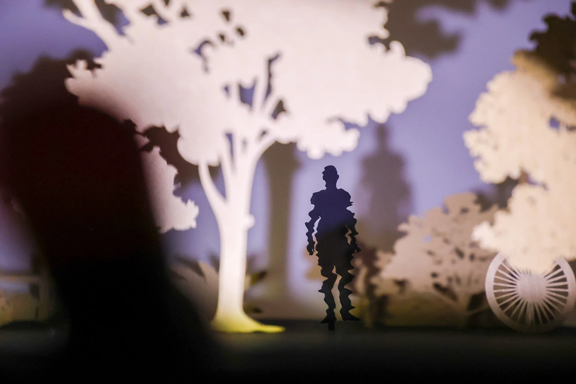 PlayingWithShadows_July26-03.jpg
