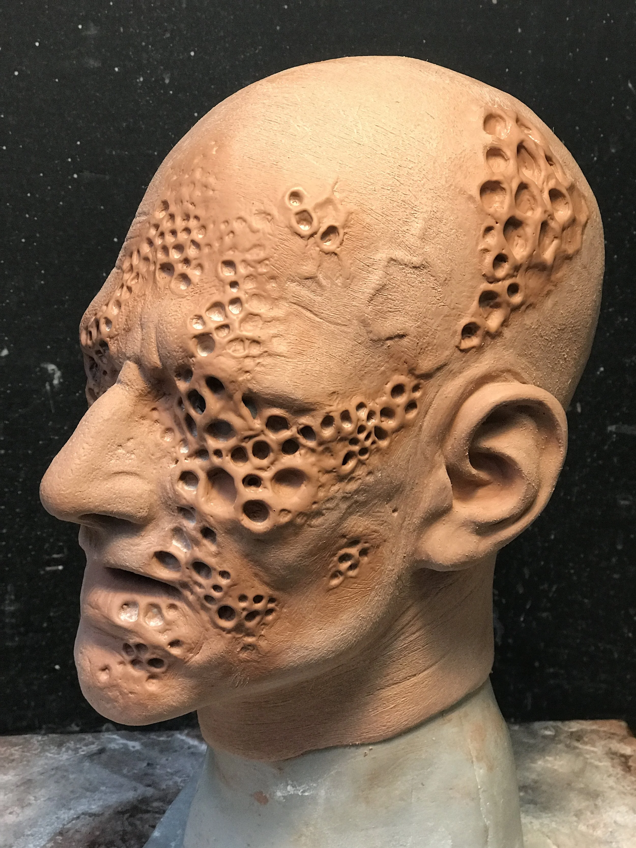 Crater Face *(Holey Moley) - 2017