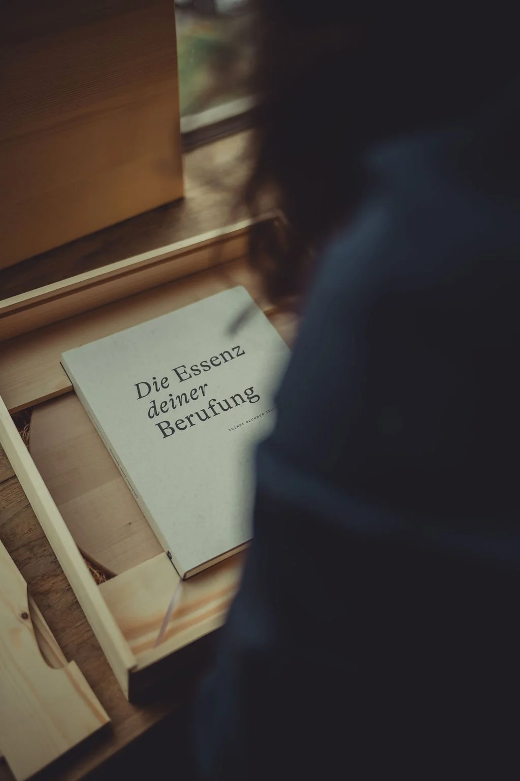 Suzane-Brunner-Zeltner-Set_Essenzkompass_Buch_Die_Essenz_deiner_Berufung_1.jpg