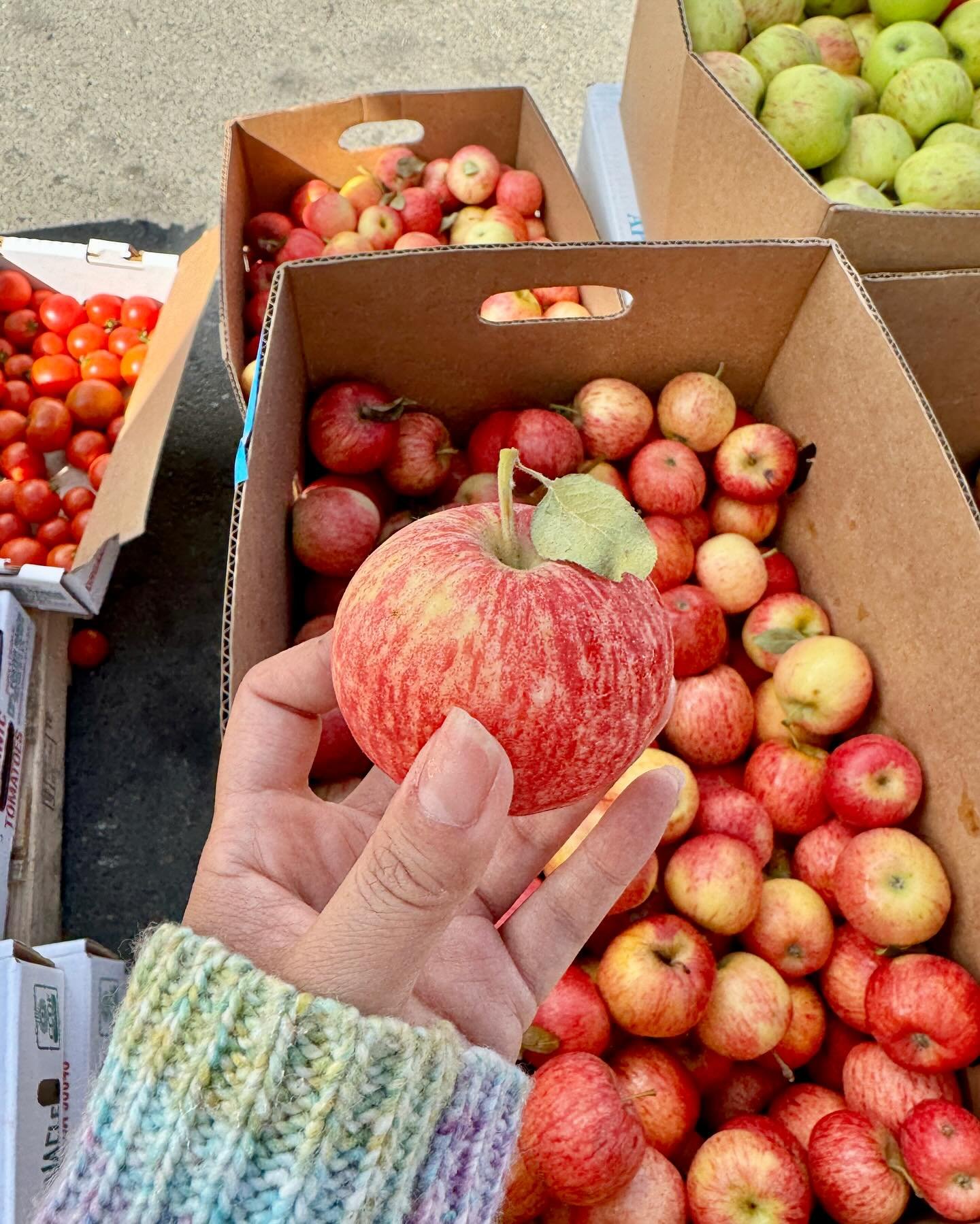 🌿🍎 Farmers Market Day! 🍑🥟
Look at the natural, bright Fall colors on the apples! 

At our day camp, we believe in teaching our students the importance of living in harmony with nature, just like in Chinese medicine (顺应自然). That&rsquo;s why we sho