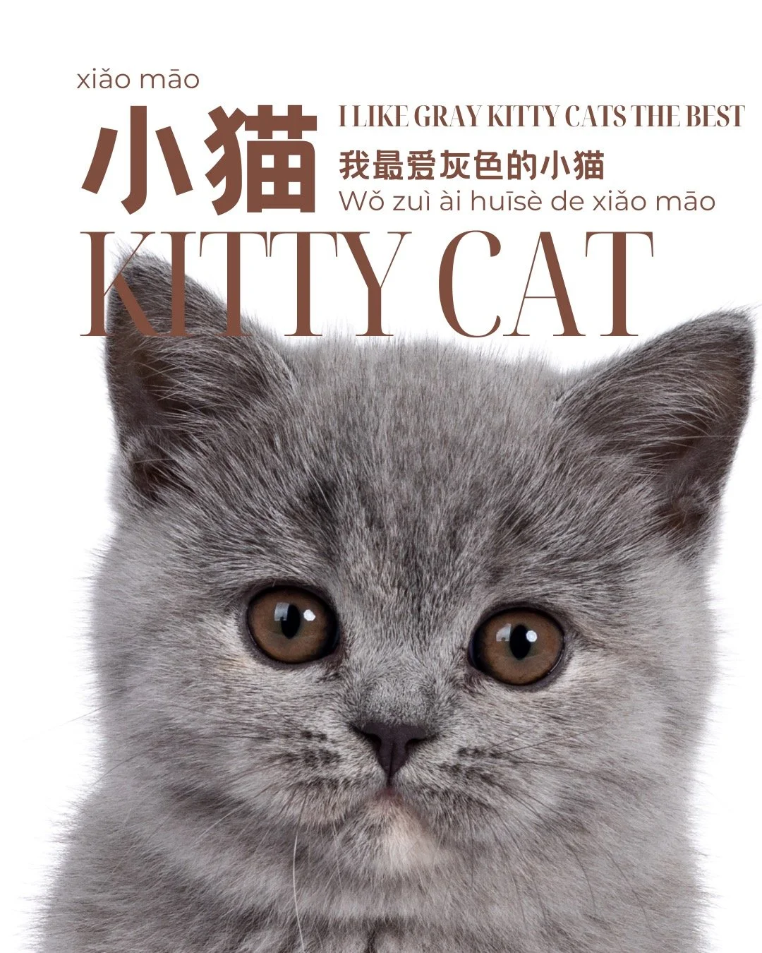 每周一字 🐈