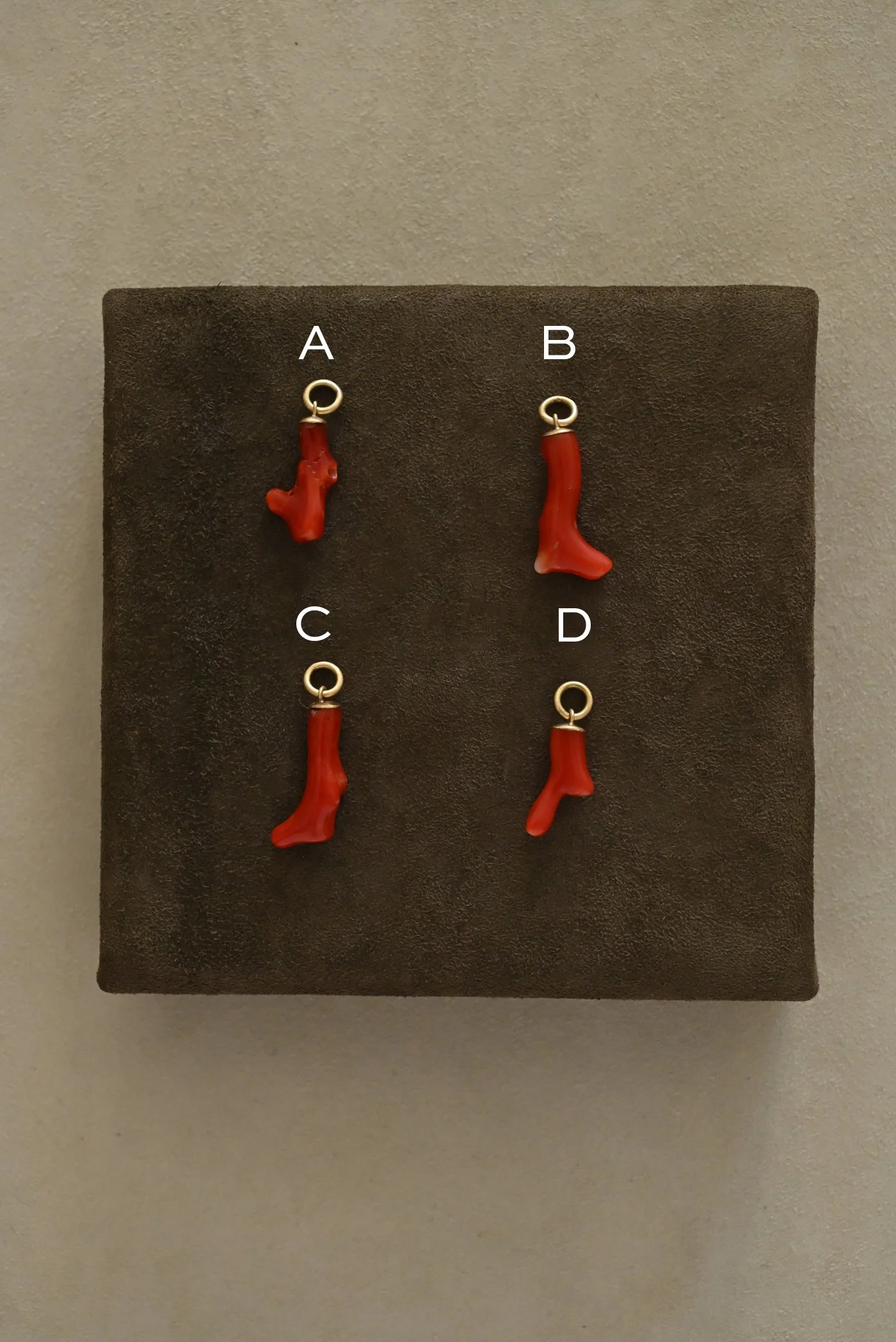 Dunton-Ellerkamp-Coral-Talisman-Front-Labeled.jpg